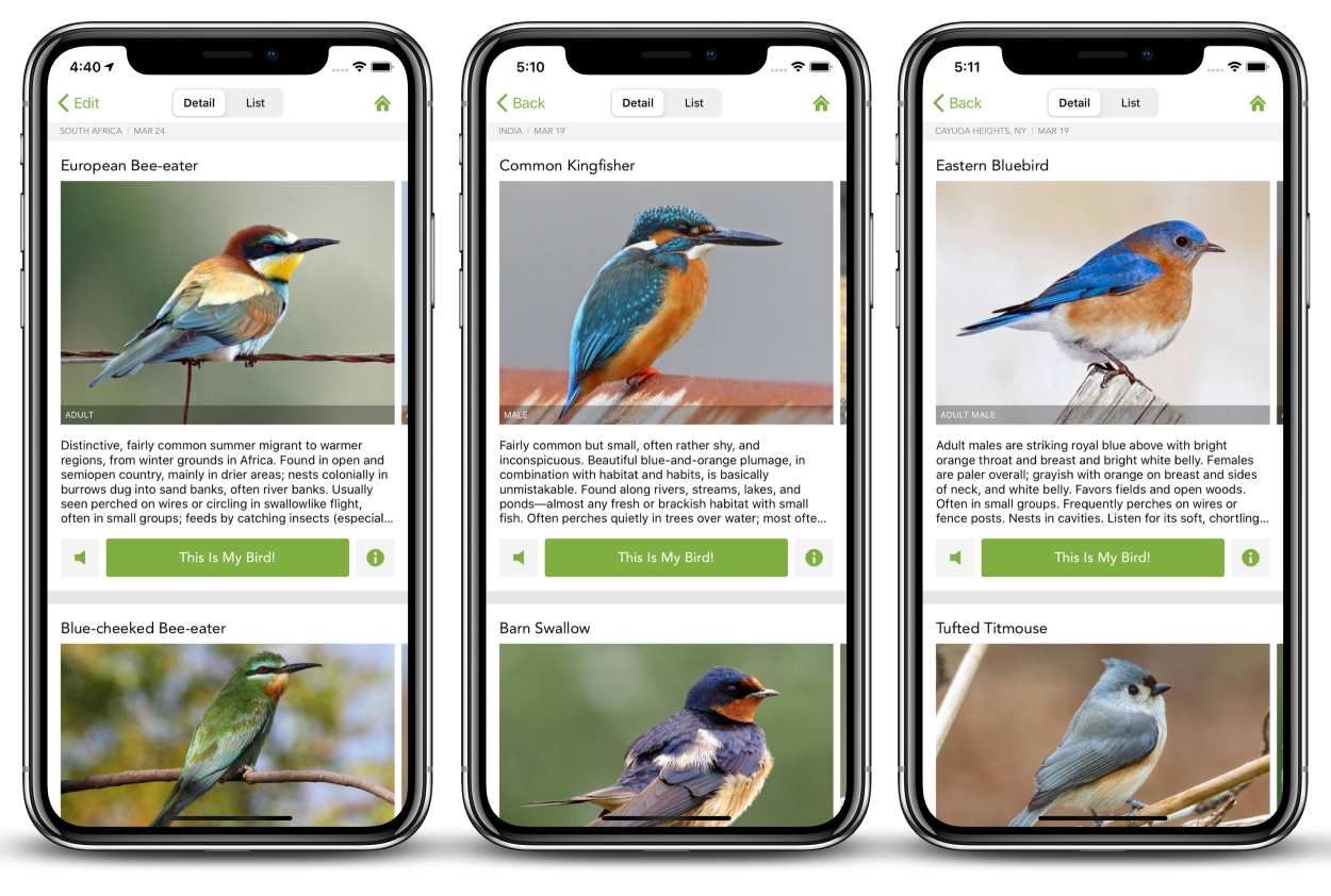 Merlin Bird ID - Home